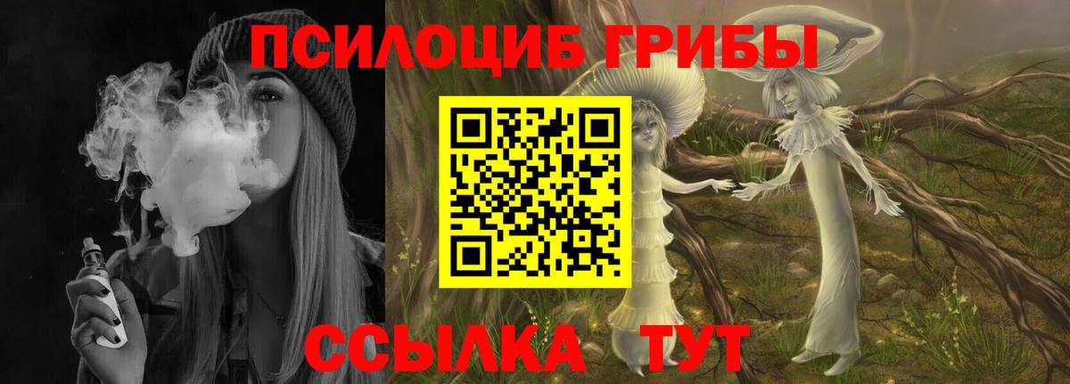 Псилоцибиновые грибы мухоморы  Вход с VPN  Ртищево 